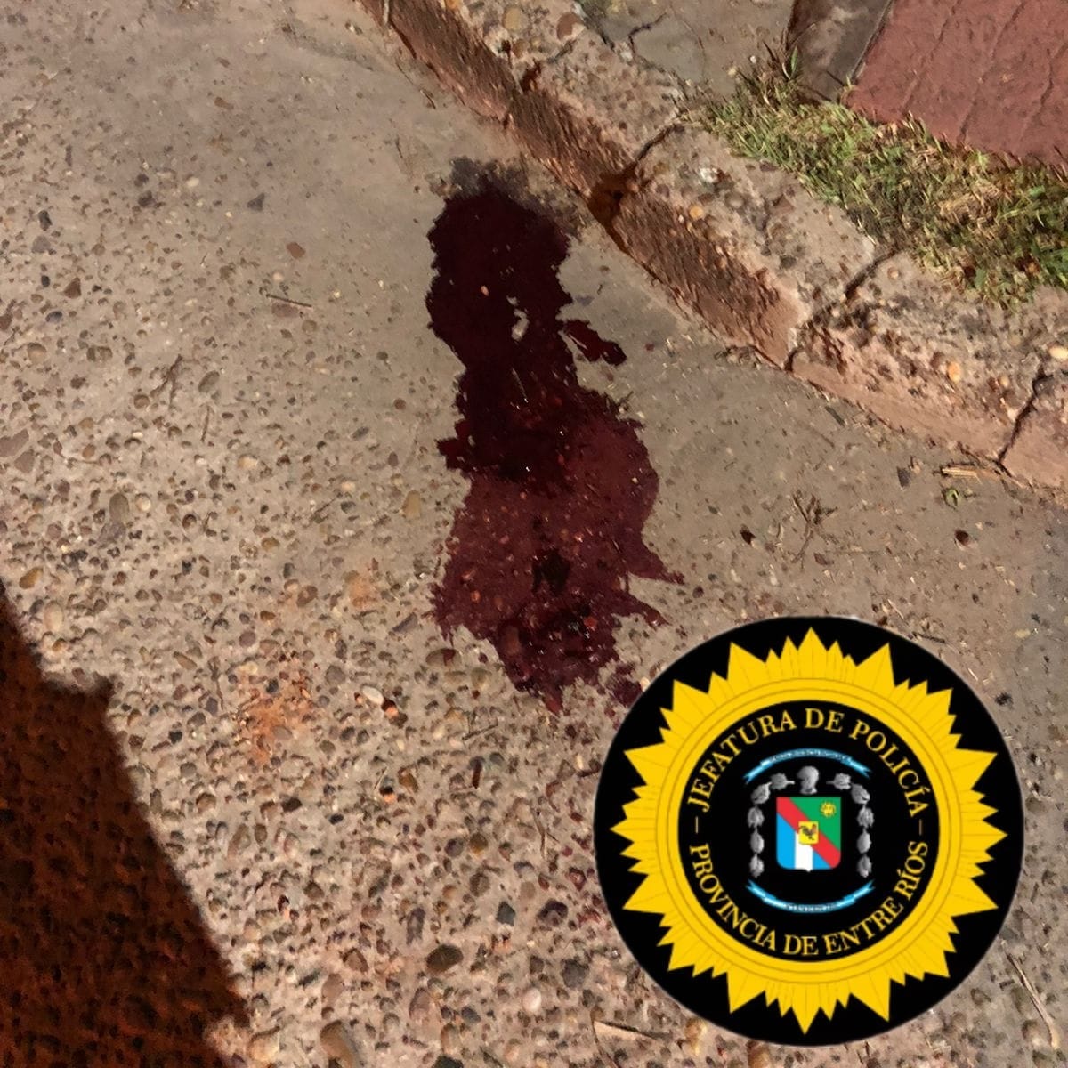 Motociclista hospitalizado en estado grave tras chocar con un auto